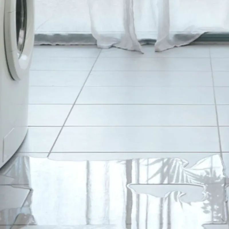 Appliance Leak Cleanup in Sylvan Lake, MI