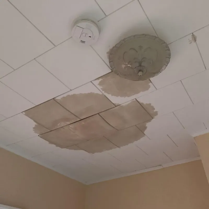 Ceiling Water Damage Repair in Sylvan Lake, MI