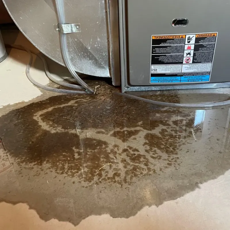 Pipe Burst and Leak Restoration in Sylvan Lake, MI
